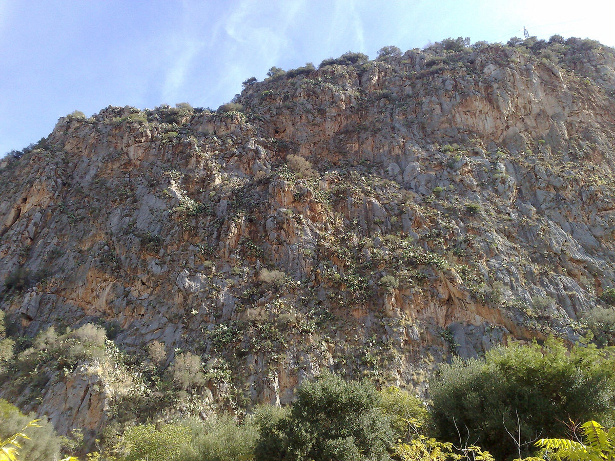 Palermo — gallery-03 | Wikimedia Commons