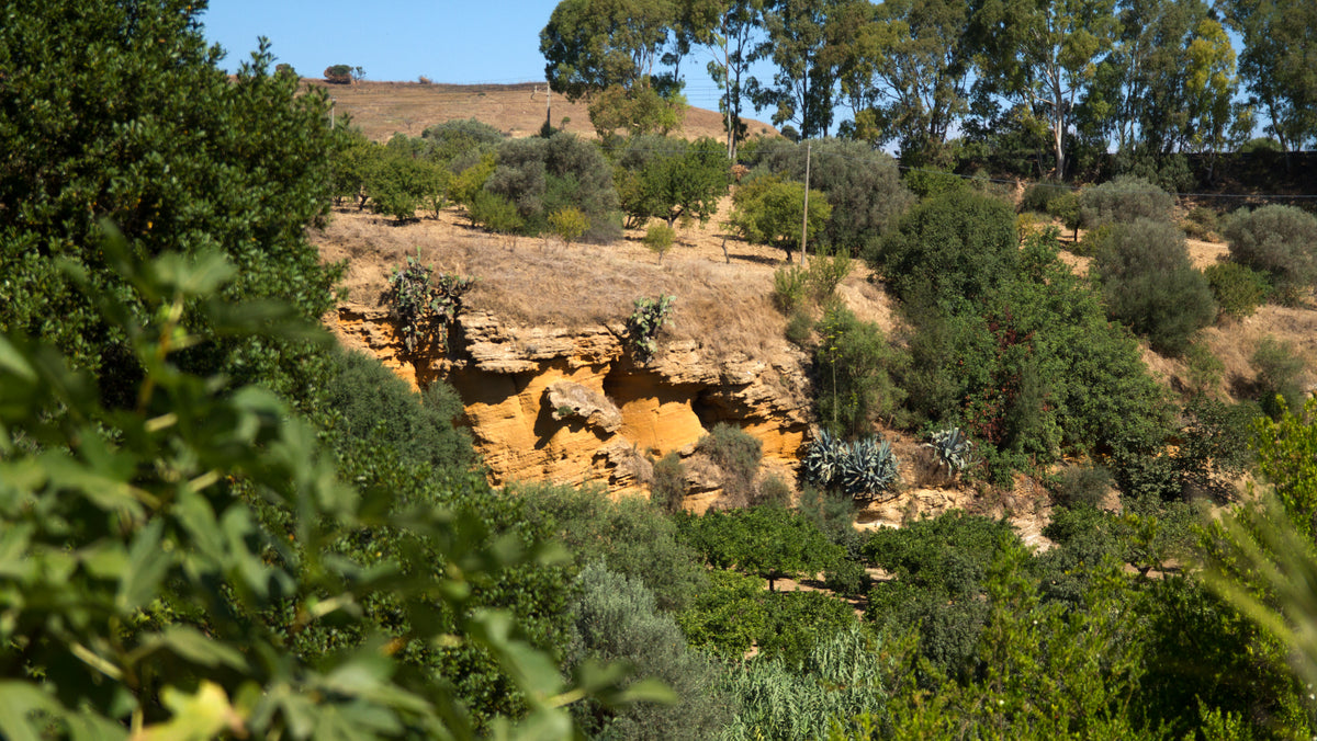 Agrigento — gallery-01 | Wikimedia Commons