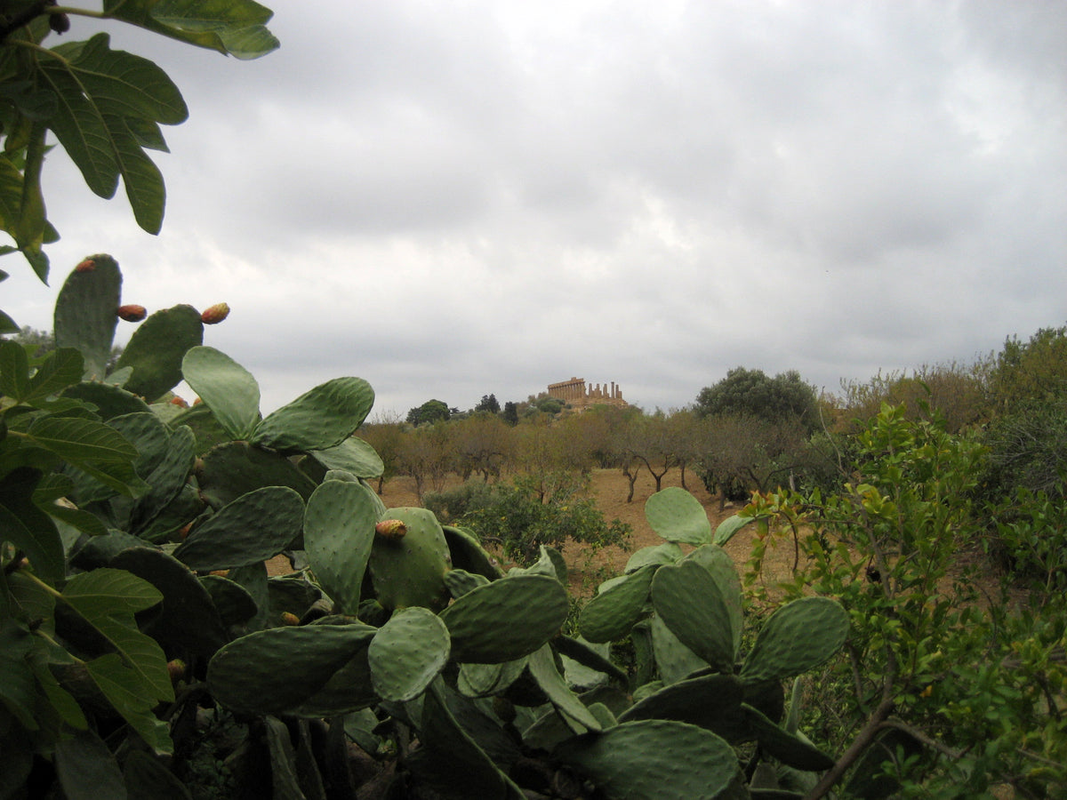 Agrigento — story-02 | Wikimedia Commons
