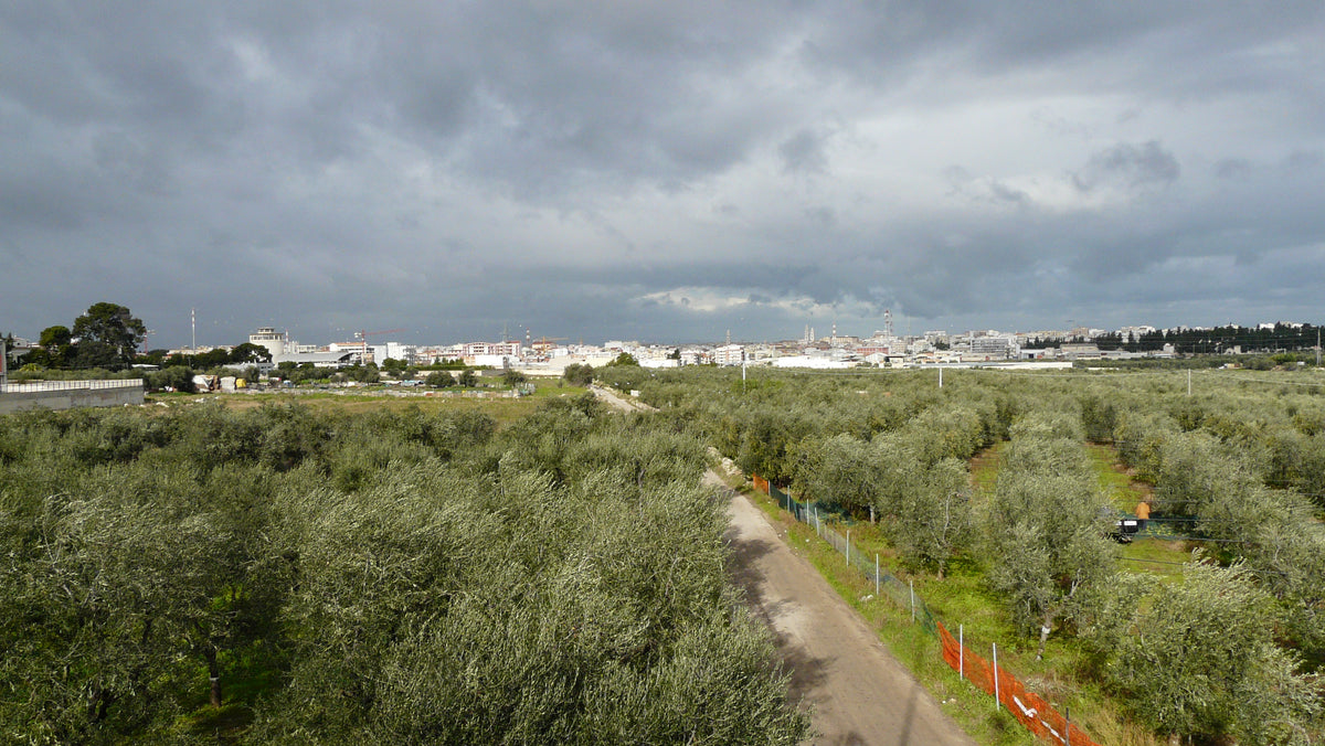 Andria — triptych-wide | Wikimedia Commons