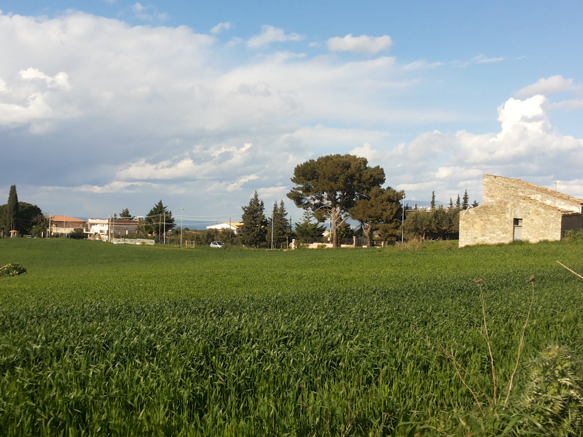 Alcamo — story-02 | Wikimedia Commons