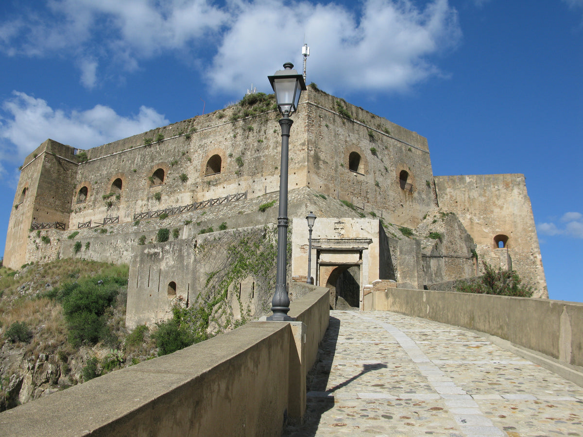 Scilla — gallery-03 | Wikimedia Commons