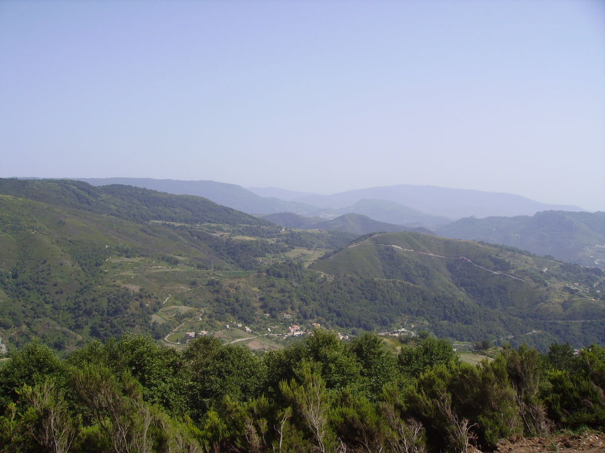 Amantea — gallery-04 | Wikimedia Commons