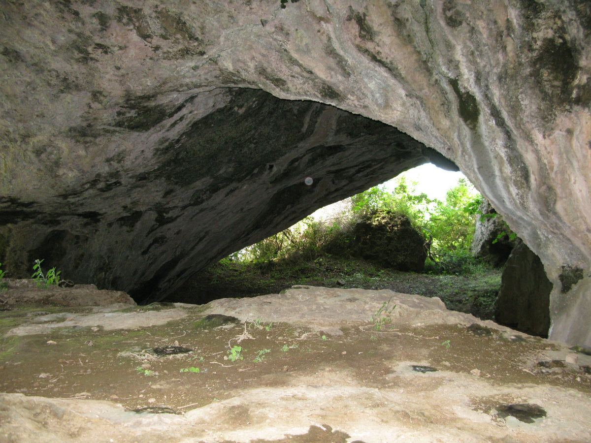 Palmi — gallery-02 | Wikimedia Commons
