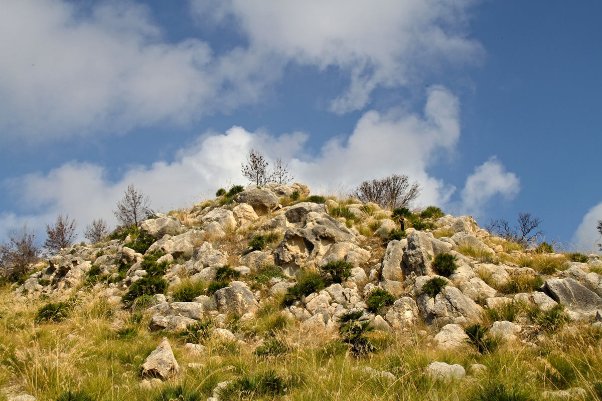 Licata — gallery-03 | Wikimedia Commons