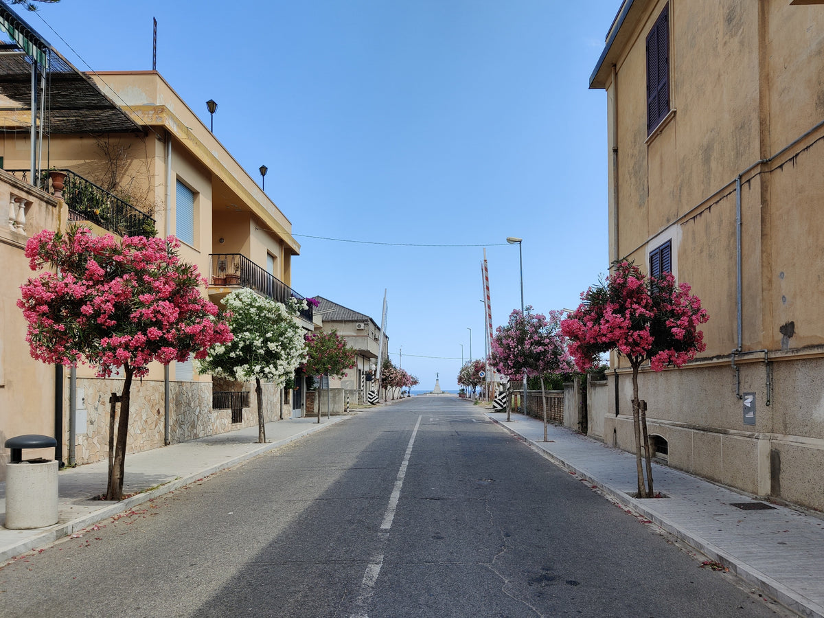 Locri — gallery-03 | Wikimedia Commons