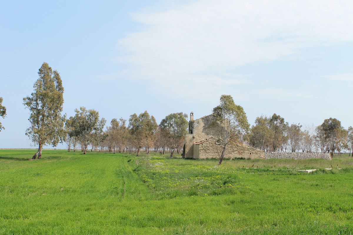 Manfredonia — story-01 | Wikimedia Commons