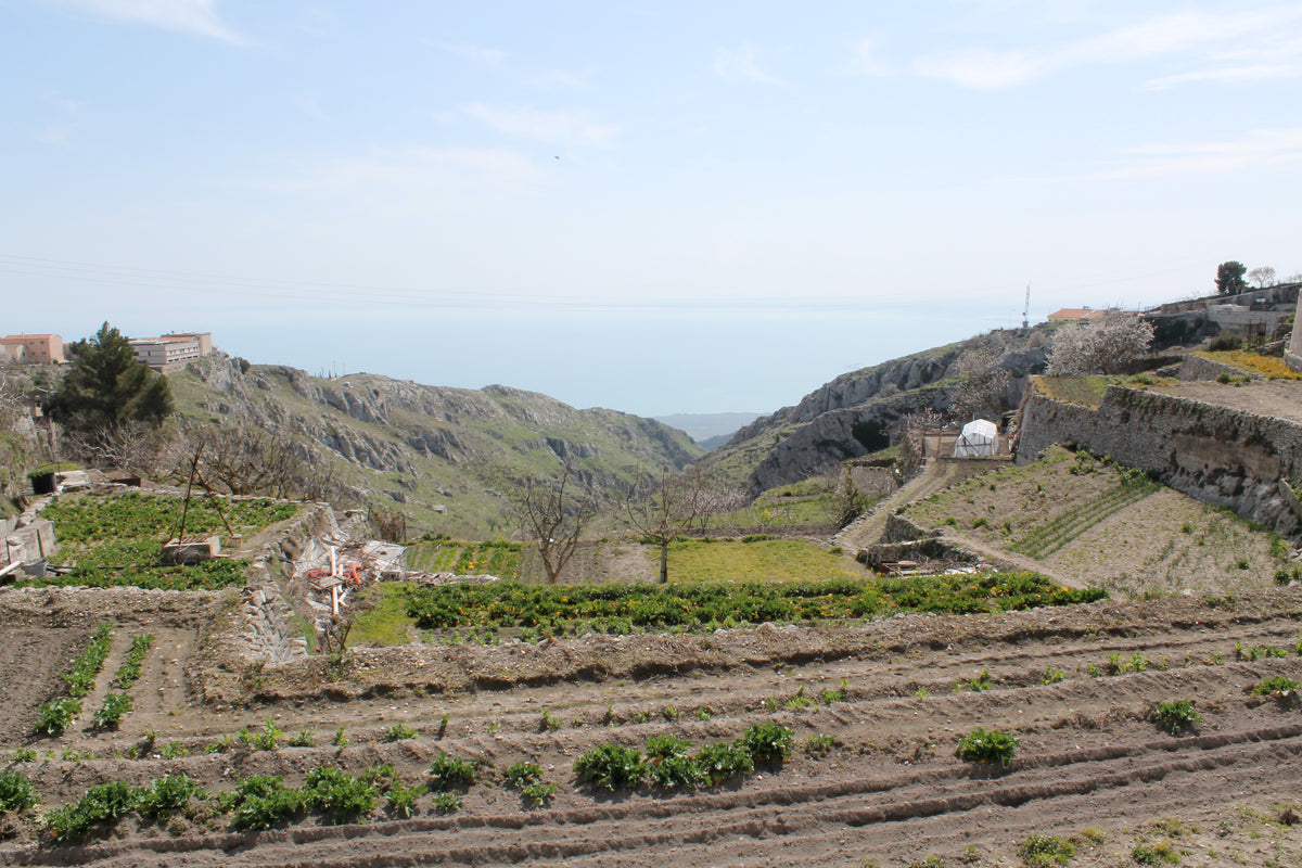 Monte Sant'Angelo — intro-wide | Wikimedia Commons