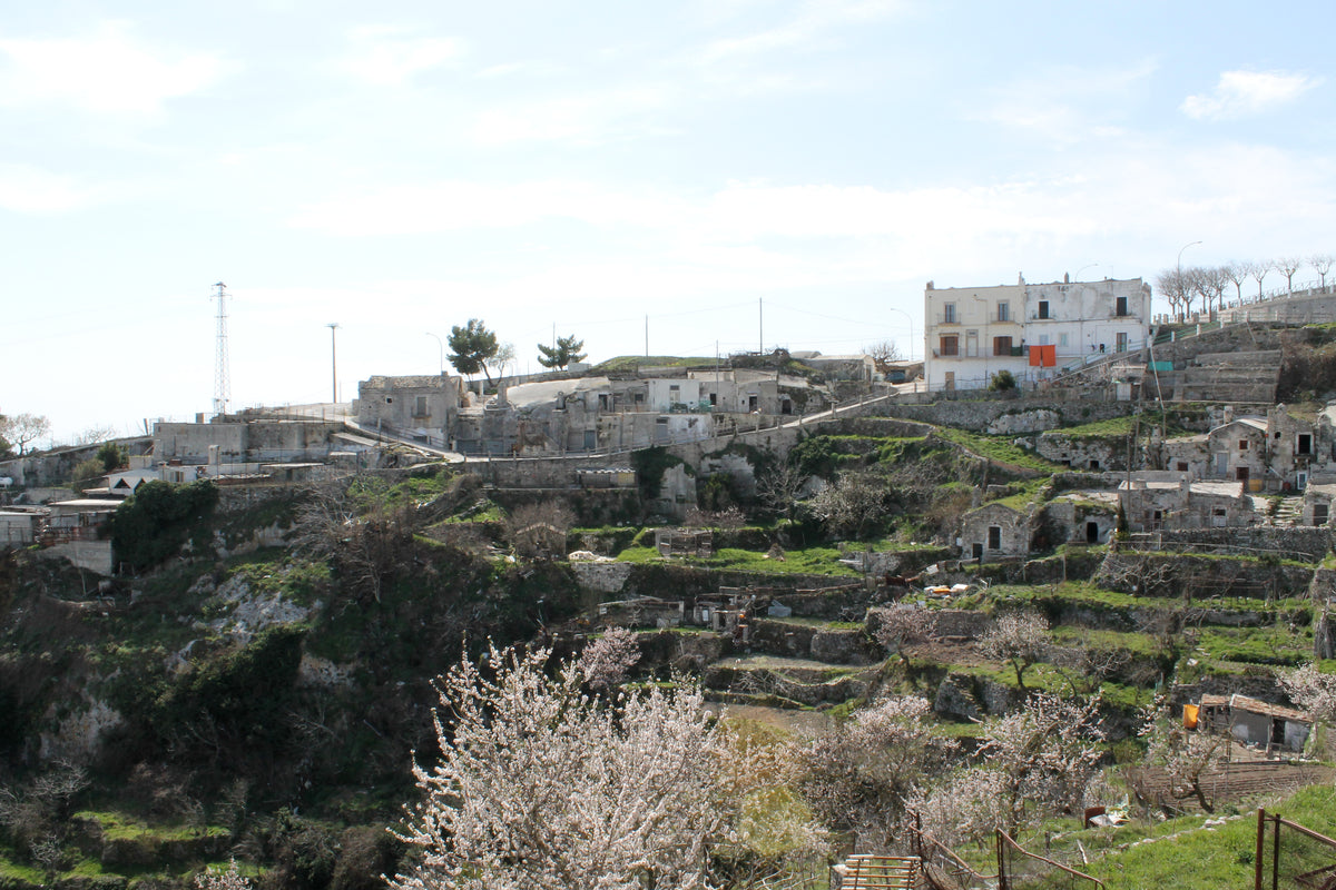 Monte Sant'Angelo — story-02 | Wikimedia Commons