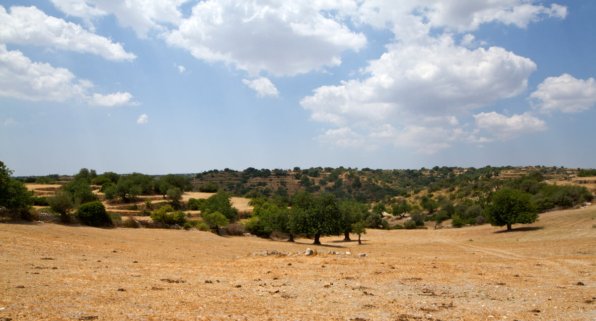 Ragusa — intro-wide | Wikimedia Commons