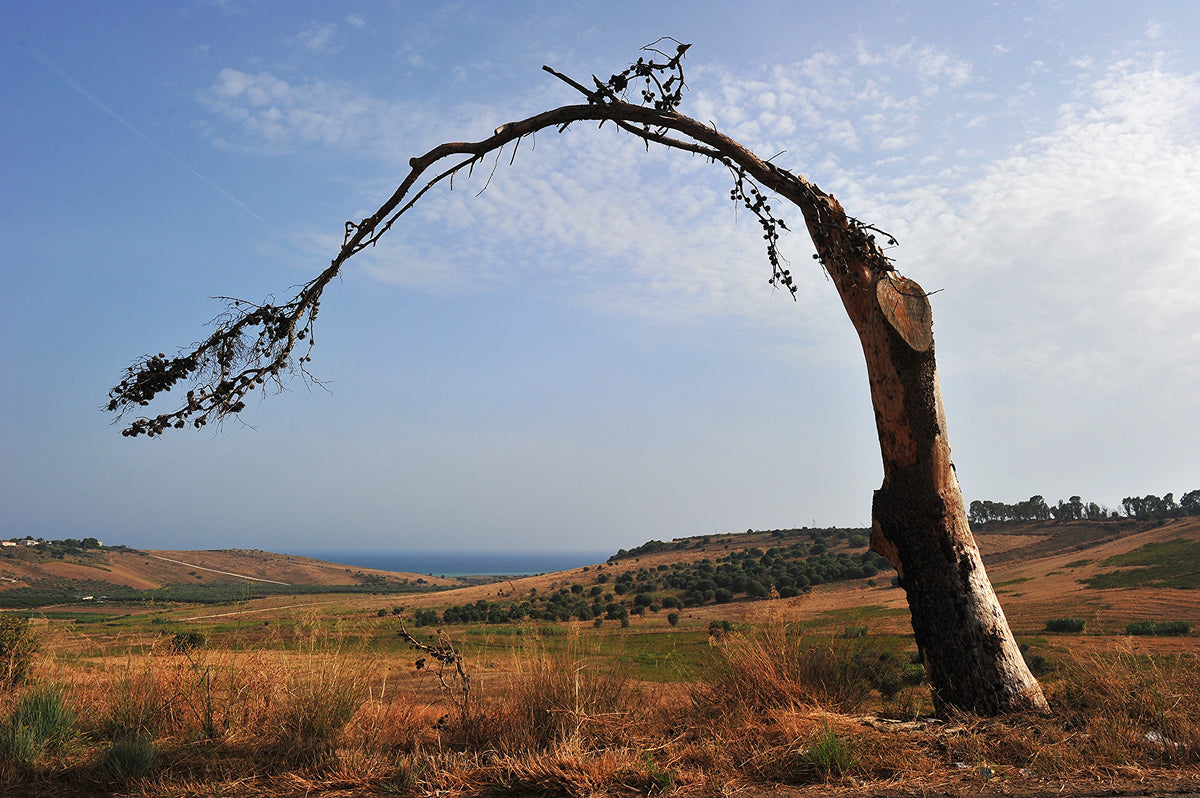 Sciacca — gallery-02 | Wikimedia Commons