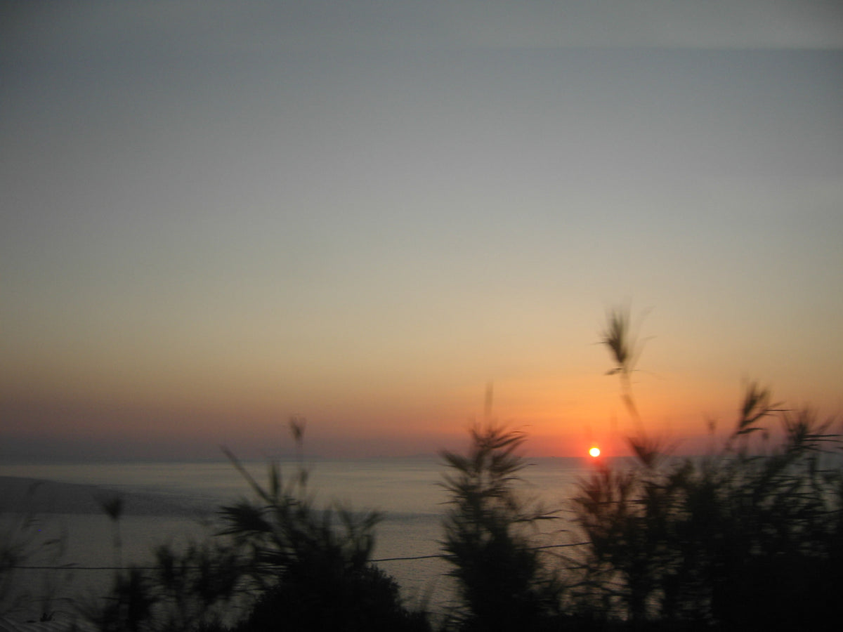 Palmi — closing | Wikimedia Commons