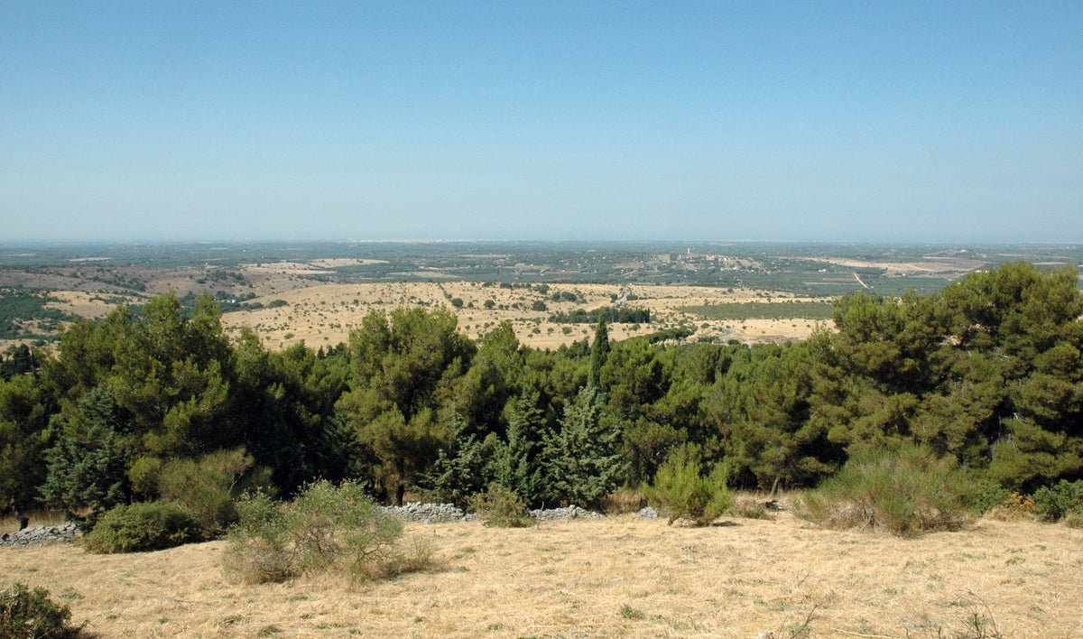 Andria — story-02 | Wikimedia Commons