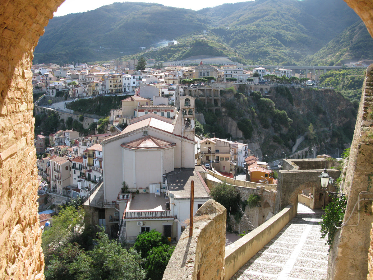Scilla — gallery-04 | Wikimedia Commons